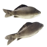 Honbay 2PCS Fake Fish Artificial Sea Fish Model Simulated Animal Fish Playset Model for Kitchen Decor Photography Props Food Display Favor (7.48 Inch)